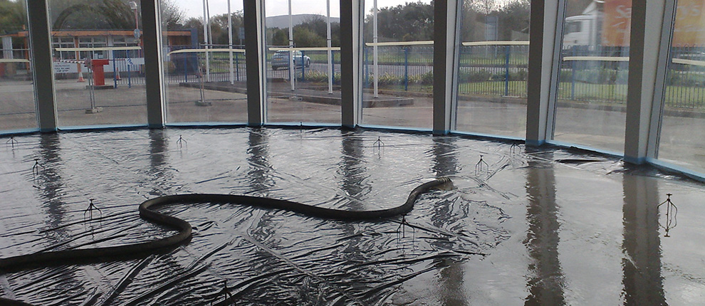 Car Showroom 